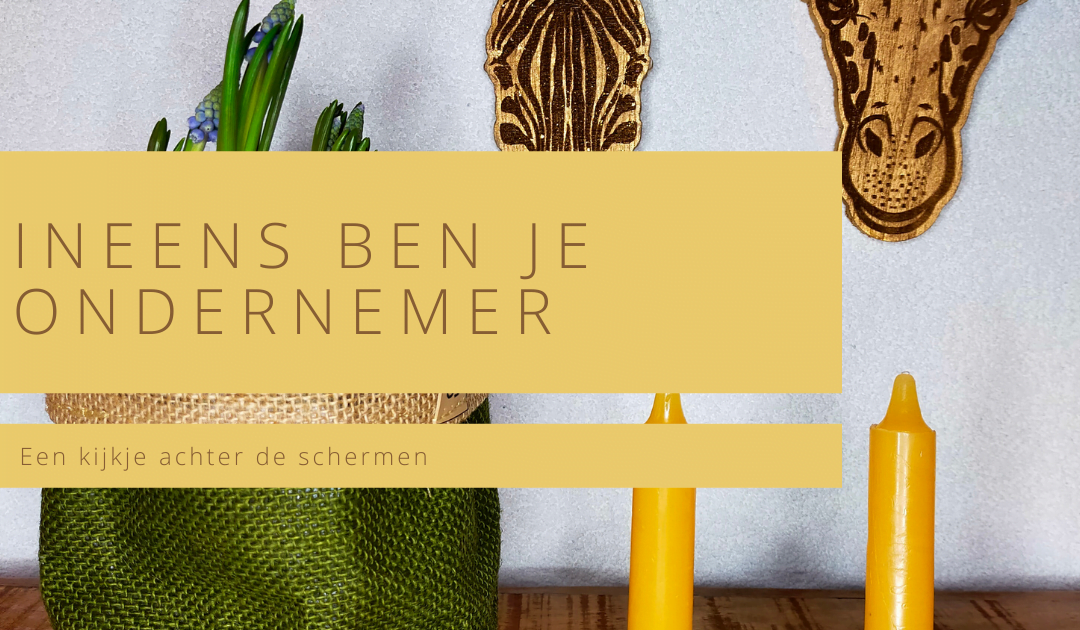 Ineens ben je ondernemer